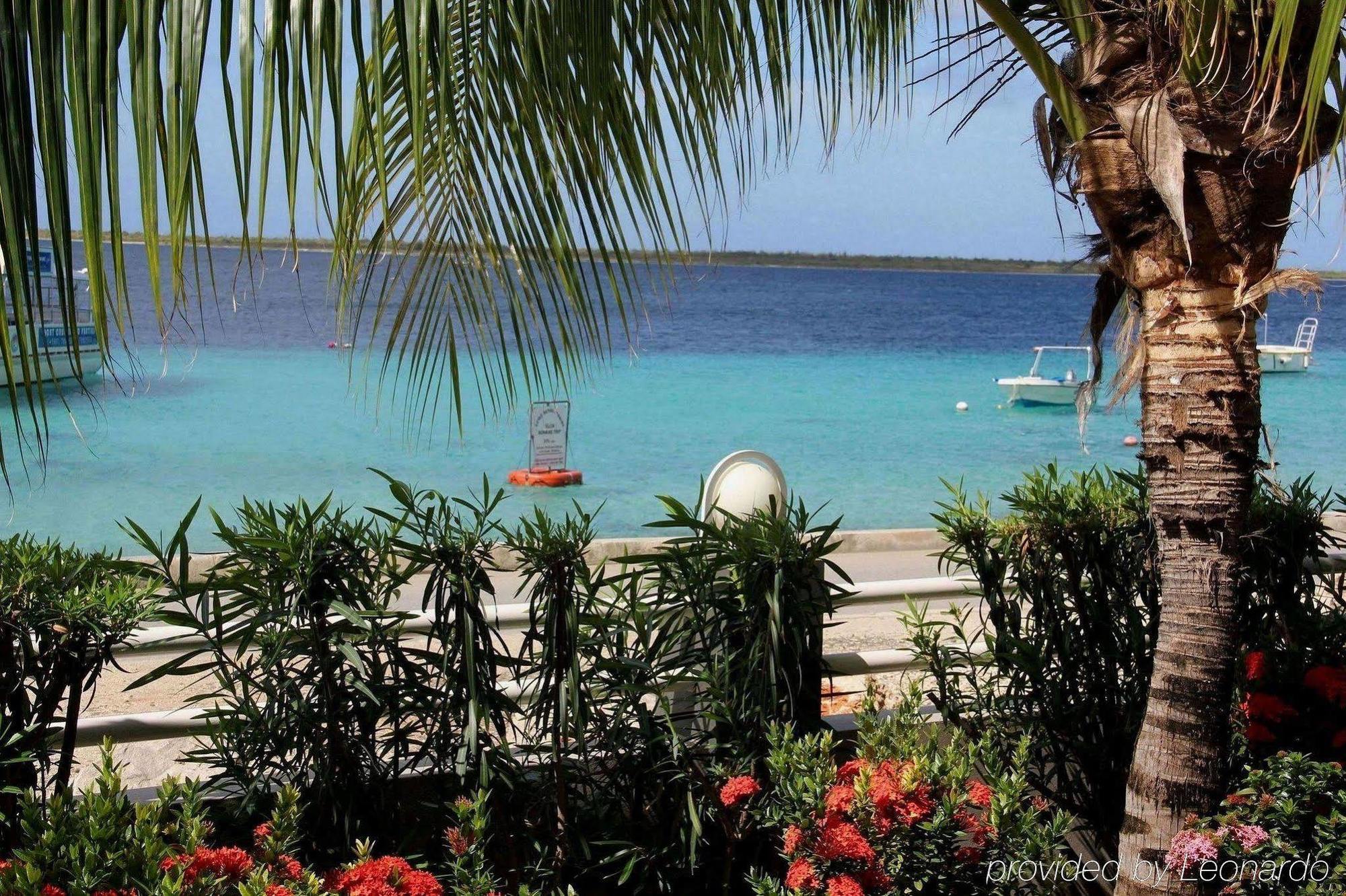 شقة بونير سي سايد أبارتمنتس Bonaire المرافق الصورة